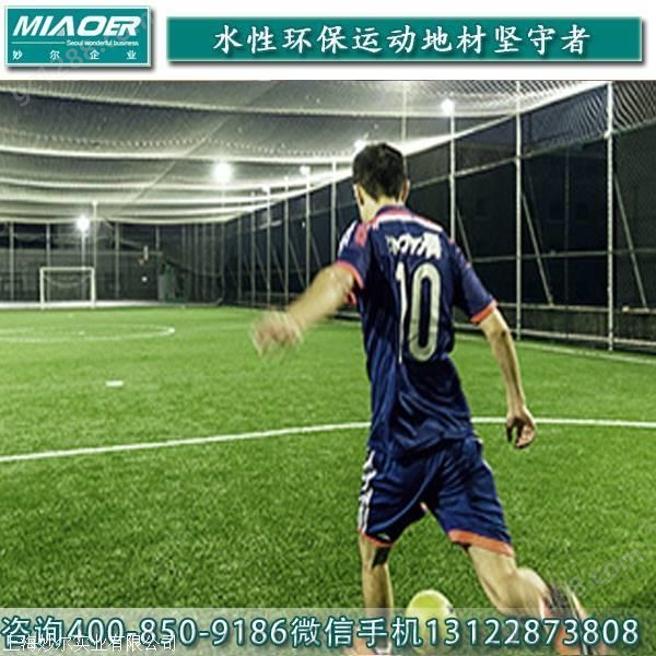 多元经营新路径 篮球场草皮工厂拓展保育与教育服务