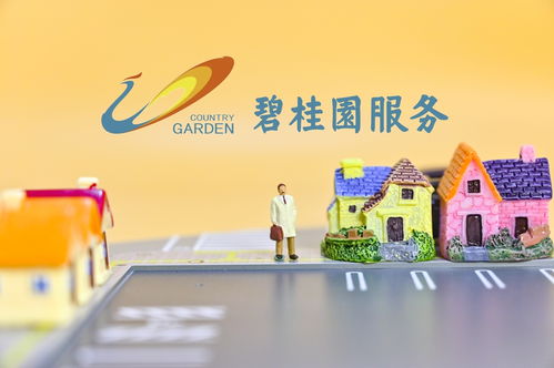 上海最大居民小区“炒掉”物业 碧桂园服务深度反思，更换区域总裁，项目由集团直管