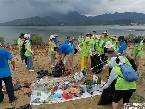 净一片海湾，护一方红树 环保志愿者白沙湾红树林保育纪实